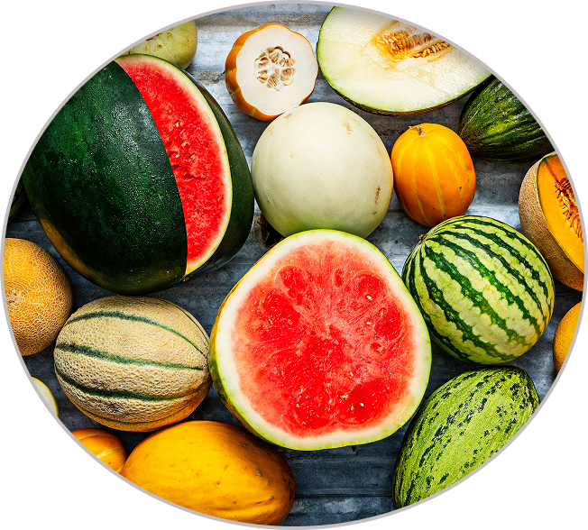 Melones